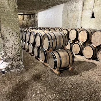 sotec-Entreprise-TP-Orignolles-IMG_4370-1-200